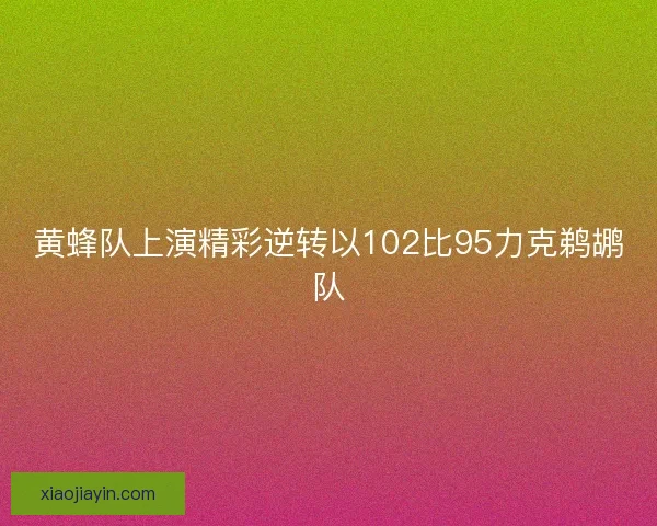 黄蜂队上演精彩逆转以102比95力克鹈鹕队