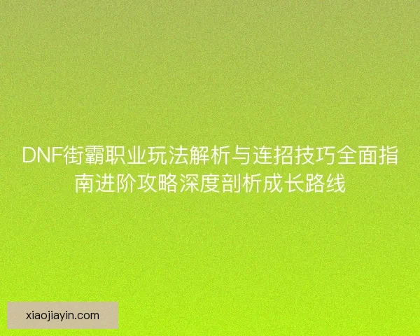 DNF街霸职业玩法解析与连招技巧全面指南进阶攻略深度剖析成长路线